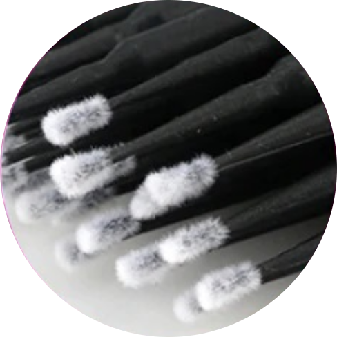 Coton Tiges | Micro-Brosses | 100 unités
