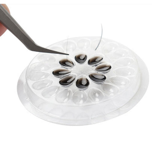 Support pour Colle en Fleur