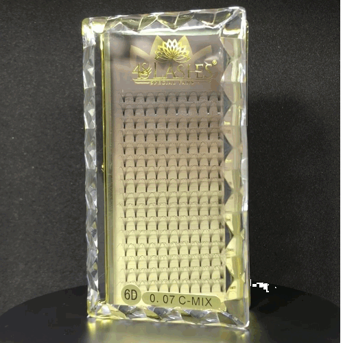 Cils Special Fans 0.07 | 6D | Volume