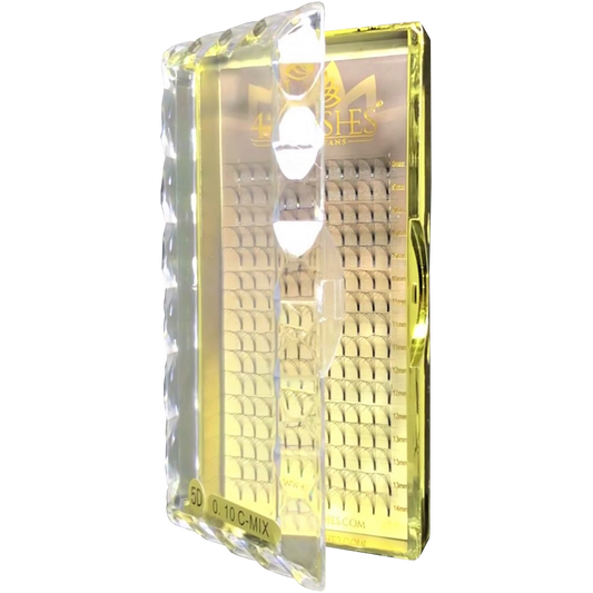 Cils Special Fans 0.10 | 5D | Volume