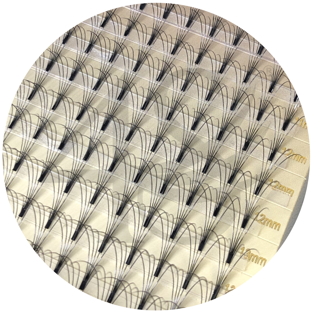 Cils Special Fans 0.10 | 5D | Volume