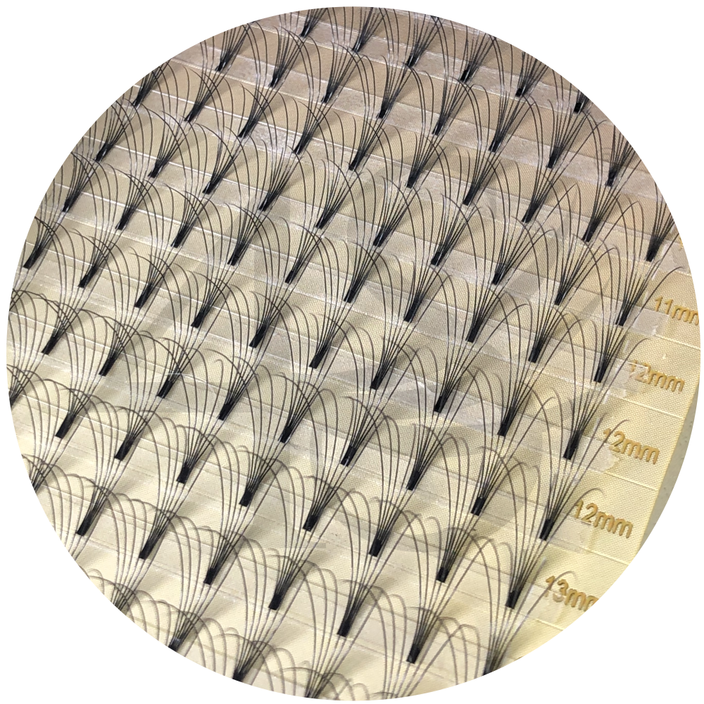 Cils Special Fans 0.07 | 6D | Volume