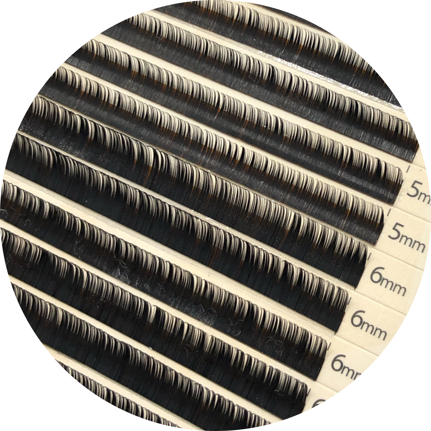 Cils Tiny 0.05 | Petites Tailles